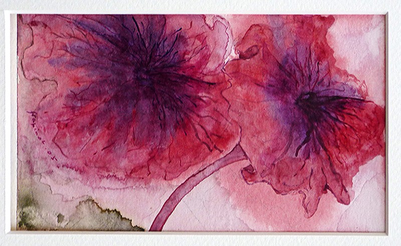 Petunias 4 6W